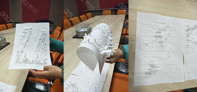 細節圖2 (5).jpg 3D打印尼龍上海地圖