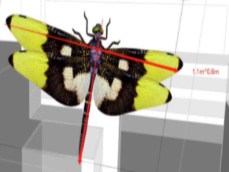 3D打印的斑麗翅晴