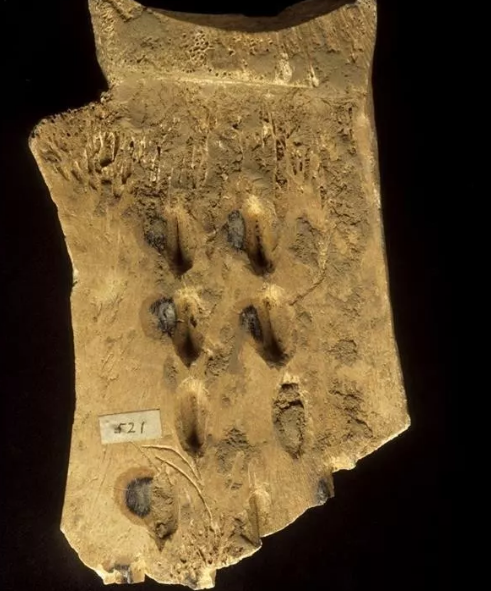 全球第一塊3D打印甲骨文在英國劍橋大學展出 全球第一塊3D打印甲骨文在英國劍橋大學展出