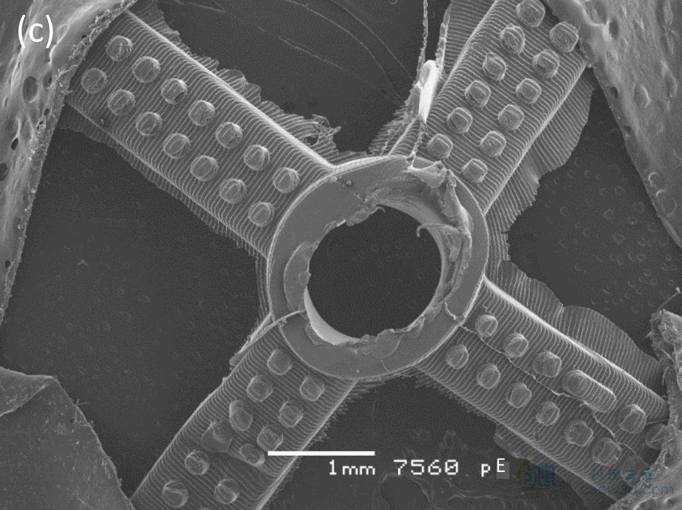 創想三維:國外團隊使用DLP 光固化3D打印機制作模具鑲件 創想三維:國外團隊使用DLP 光固化3D打印機制作模具鑲件
